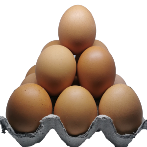 Bandeja de 15 huevos de campo