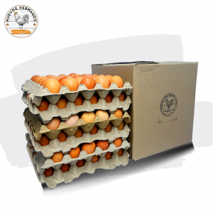 Caja 180 Huevos Extra Campo